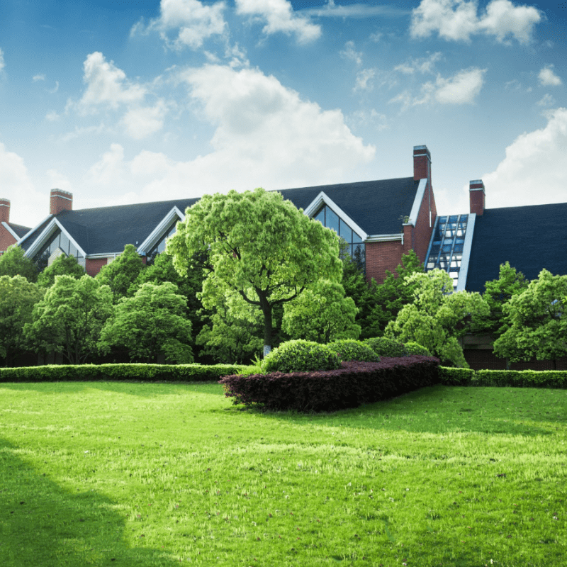beautiful modern house in cement, view from the garden.